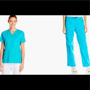 Wonderwink Top and Bottom Scrubset